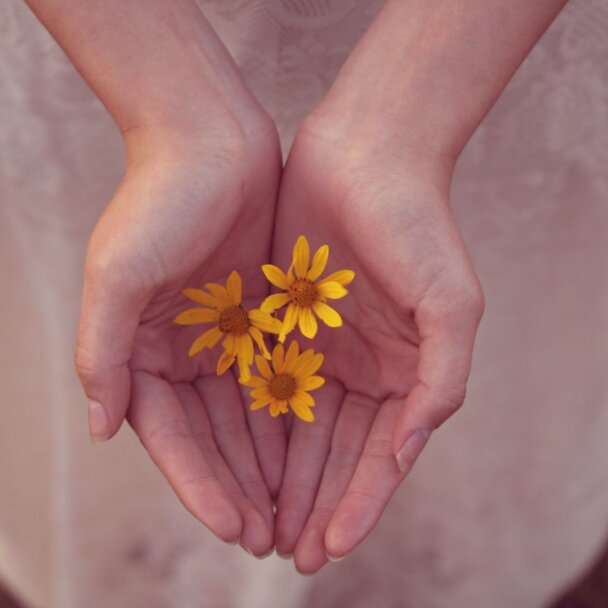 abundance, flowers, hands, feminine
